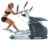 Octane Fitness Pro 3700 Classic Elliptical Machine Trainers (Renewed)